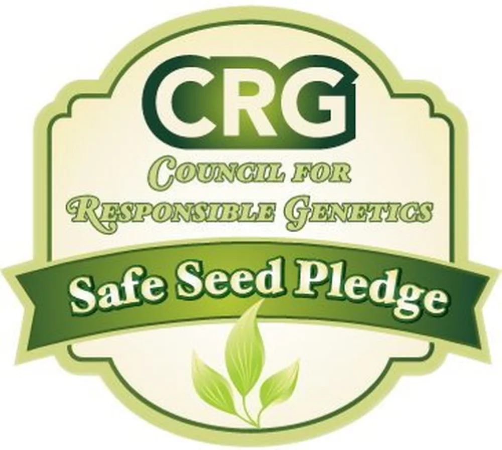 Earthcare Seeds - Cardinal Climber 35 Seeds (Ipomea Quamoclit X Sloteri) Heirloom - Open Pollinated