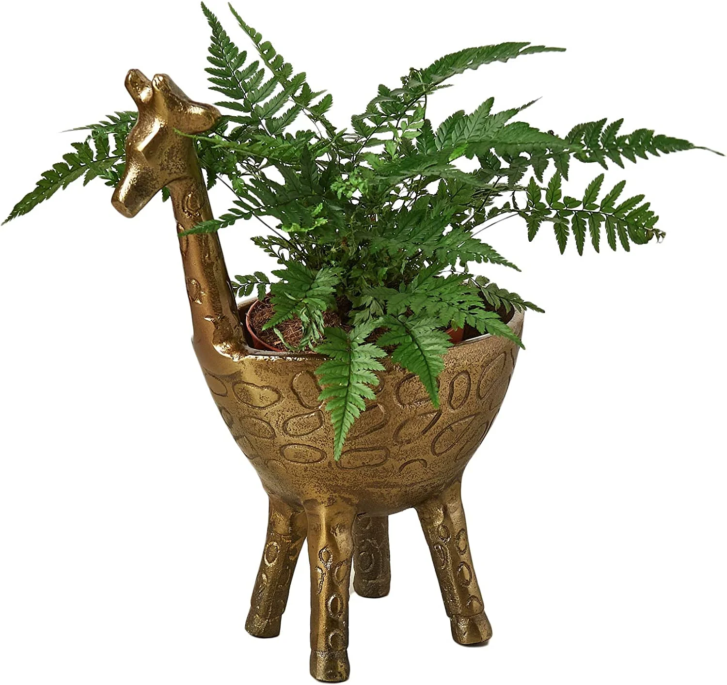 Gia Giraffe Planter
