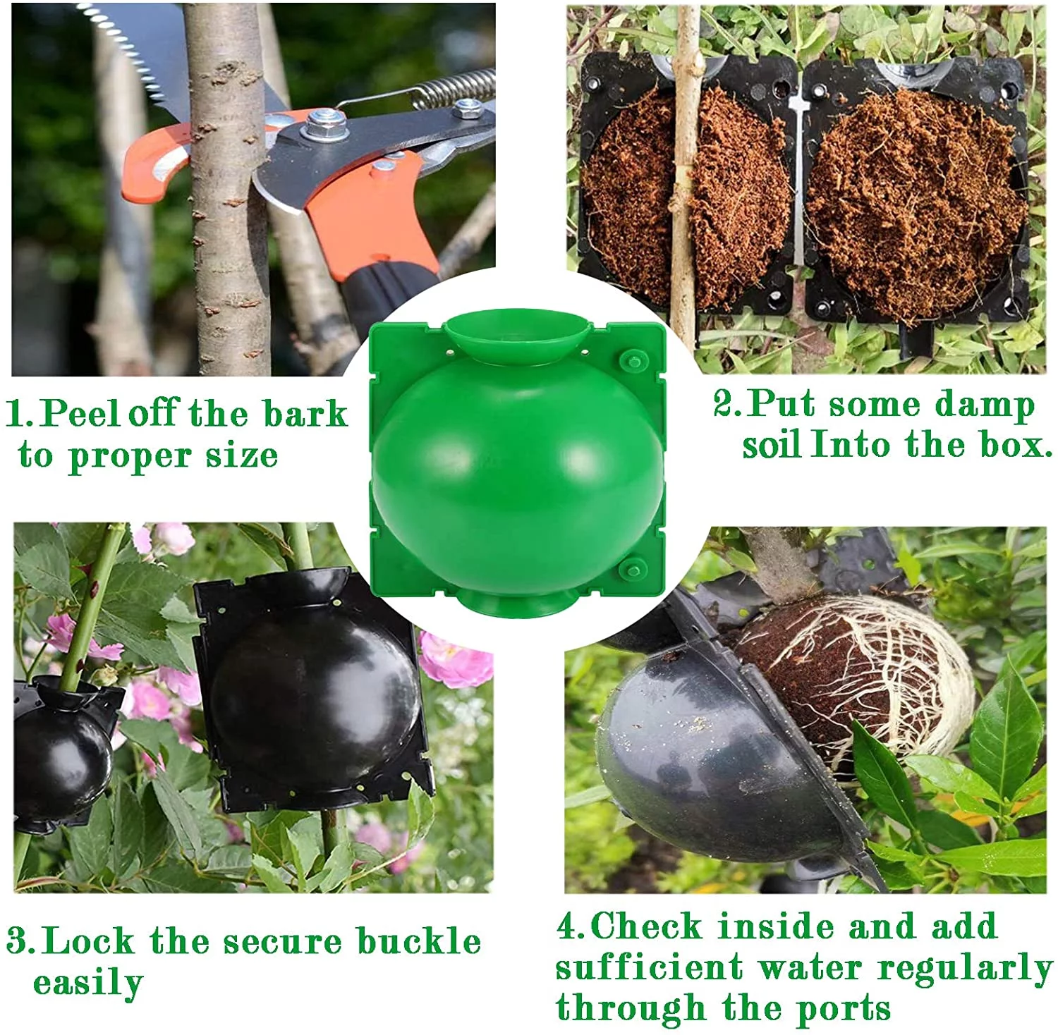 Plant Root Growing Box, Assisted Cutting Rooting Box Propagation Rooting Ball Reusable Plant Grafting Plastic Device - 6 Pcs (M)