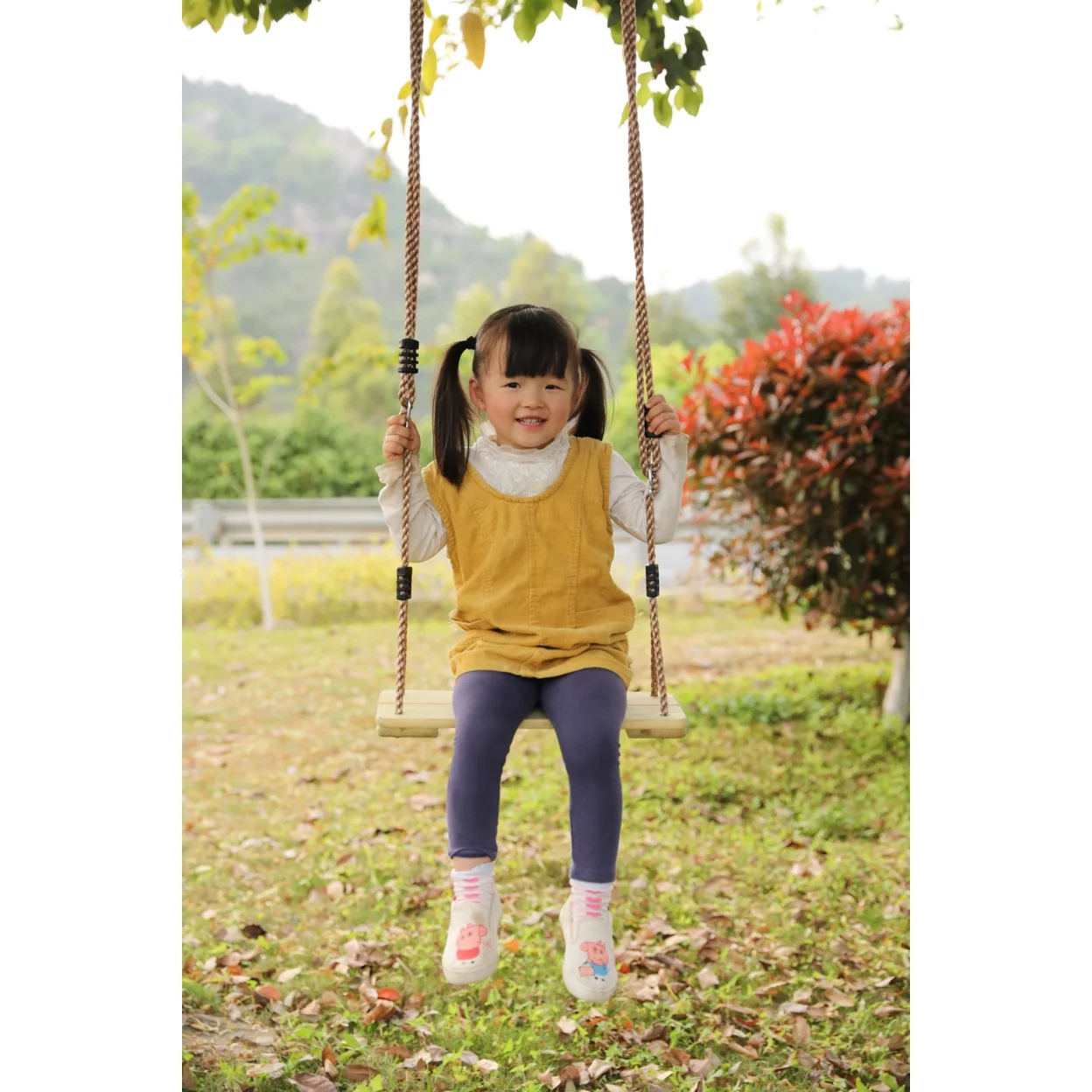 Wooden Swings with 4 Included Ropes, Tree Swing, Swing Bar, Climbing Rope Ladder and Swing Seat