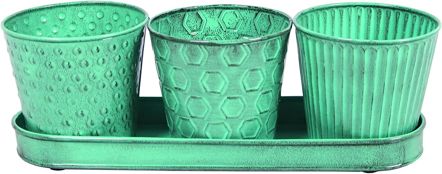 MPT01912 Concord Garden Flower Set With Tray, 4-Inch, Surf Color