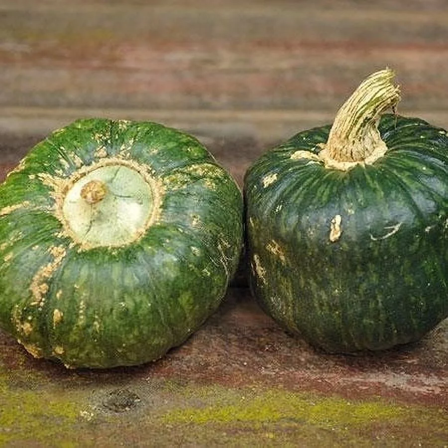 Eden Brothers Squash (Winter) Seeds - Burgess Buttercup Non-GMO Seeds for Planting, 1 oz | Low-Maintenance Vegetable Seeds, Plant During Warm Season, Zones 10, 3, 4, 5, 6, 7, 8, 9