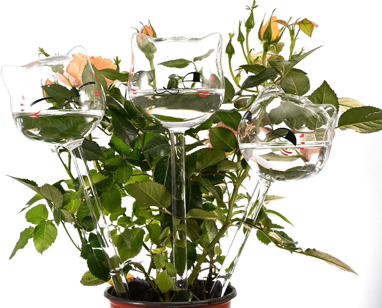 3 Pack Bird Shaped Glass Watering Globes - Plant Watering Bulbs for Indoor and Outdoor Plants - Aqua Globes Automatic Plant Waterer Bulbs