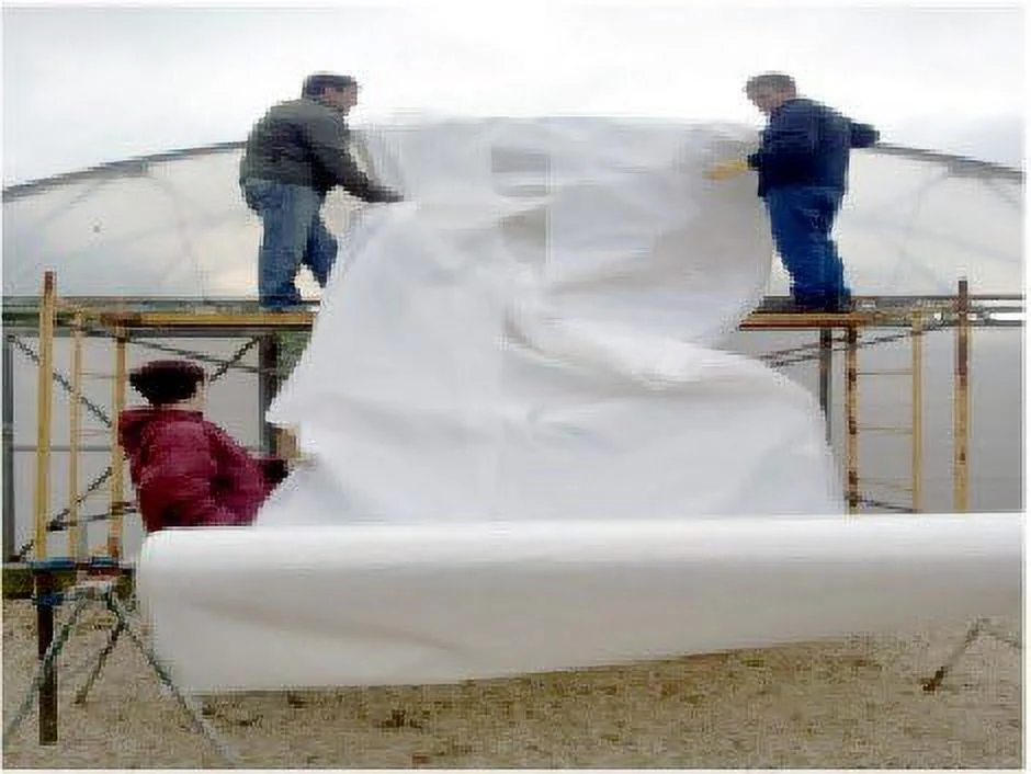 Greenhouse White Plastic Film ethylene Covering Gt4 Year 6 Mil 12Ft Wide X 25Ft Long