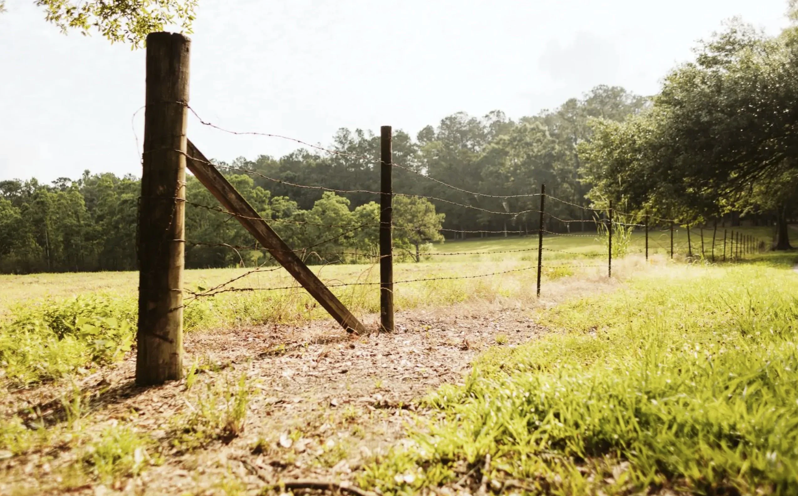 Ragan & Massey RM43 76501 2.5 Gallon Container of Total Weed & Vegetation Control