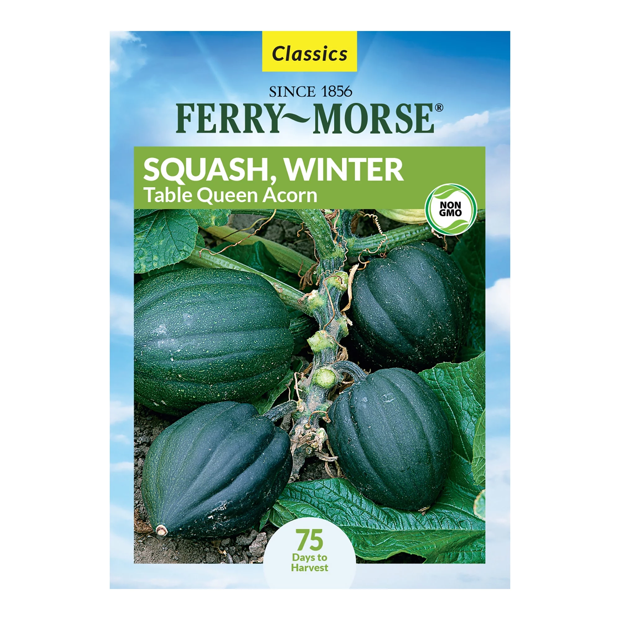 Ferry-Morse 1700MG Squash Winter Table Queen Acorn Vegetable Plant Seeds Full Sun