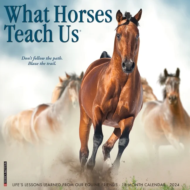 What Horses Teach Us 2024 12 X 12 Wall Calendar (Other)