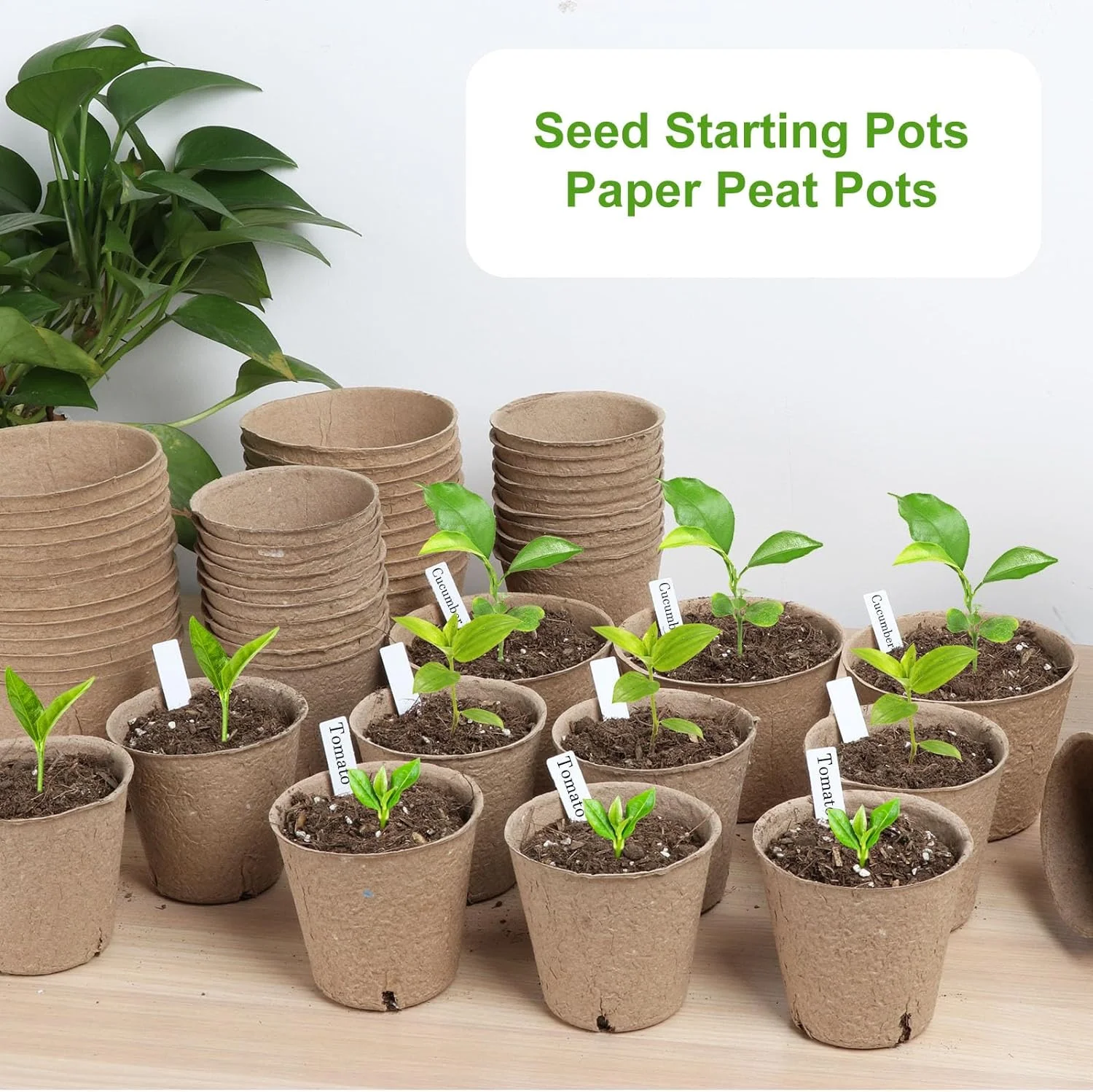 Zhuge 50 Pcs Organic Peat Pots, 3.15 Inch Nursery Pot, Round Plant Seedling Pots with Drainage Holes, Small Seed Starting Starter Tray Bulk, Garden Germination Container
