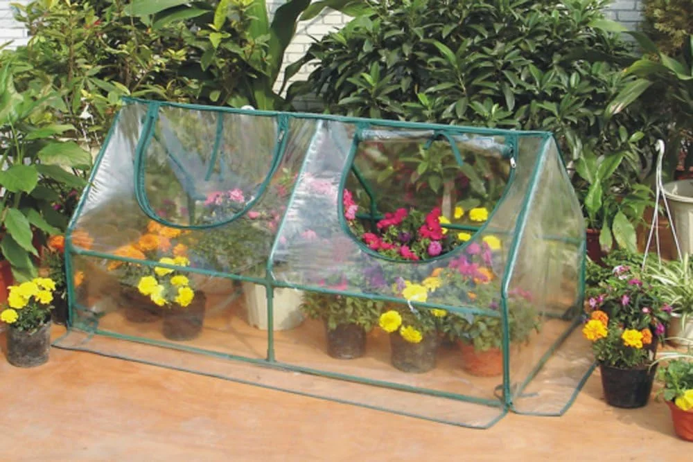 Zenport SH3212A Garden Cold Frame Greenhouse Cloche for Easy Access Protected Gardening