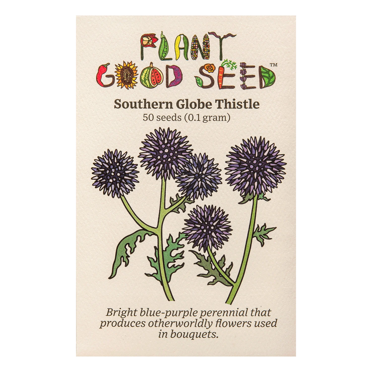 Southern Globe Thistle Seeds