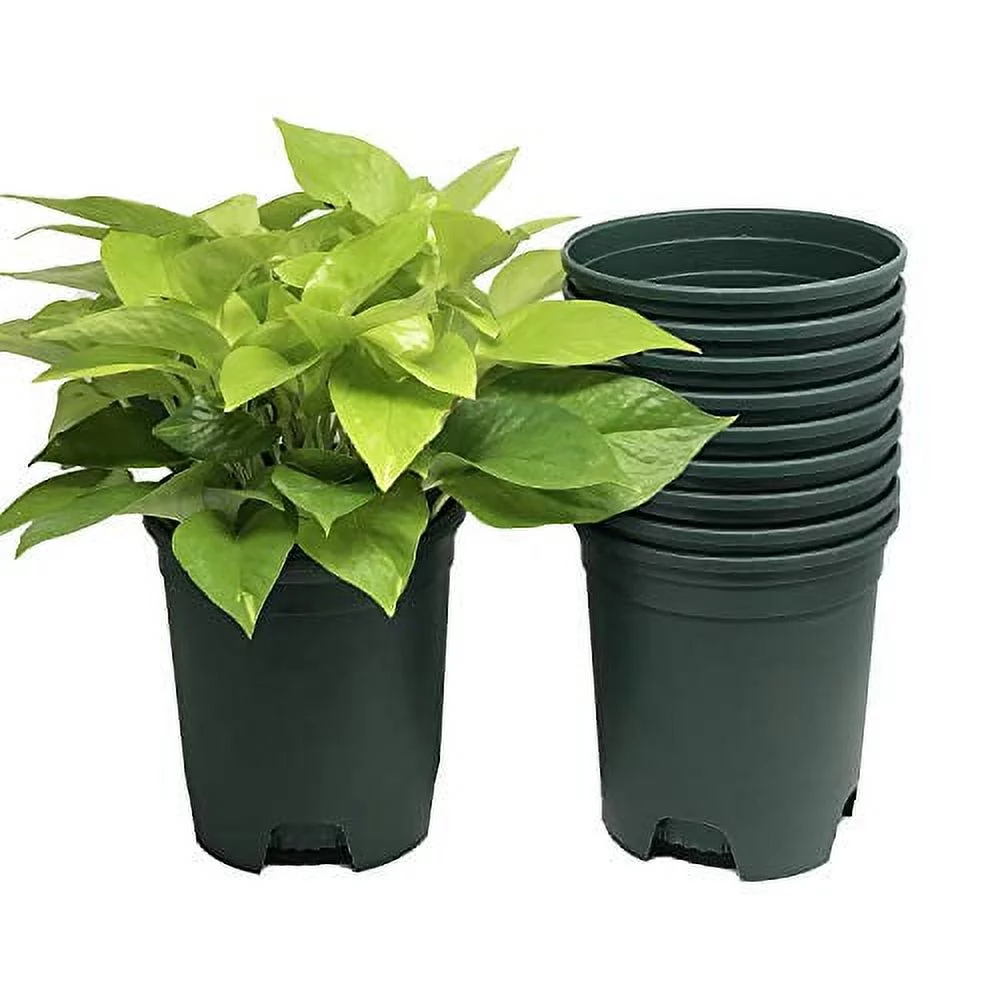 1 Gallon Green Nursery Pot Plastic Planters for Outdoor Indoor Plants Gardening Flower Pots 10-Pack 6 Inch Plant Pots with Drainage Holes 10-Pack 1 Gal Green