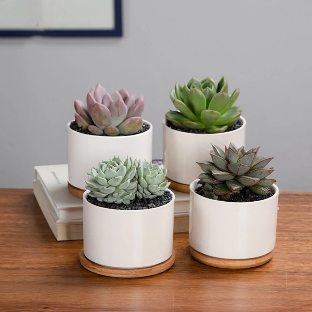 Succulent Pots,White Mini 3.15 inch Ceramic Flower Planter Pot with Bamboo Tray, Pack of 6 - Plants Not Included