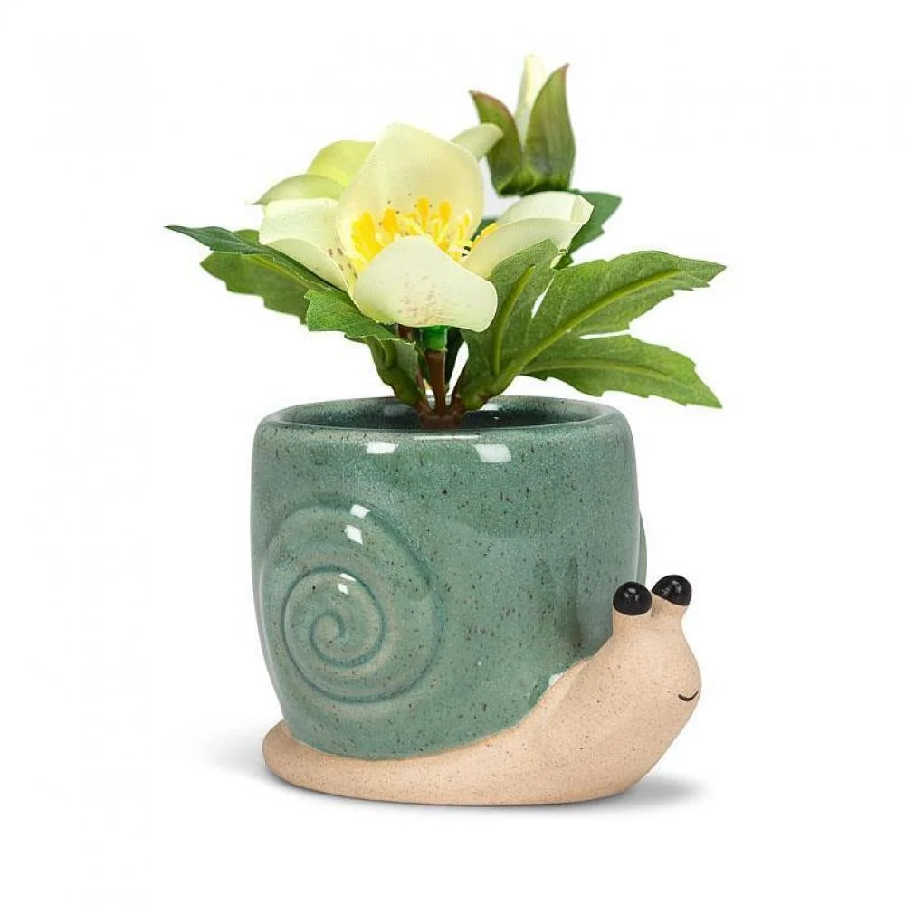 Snail Starter Planter