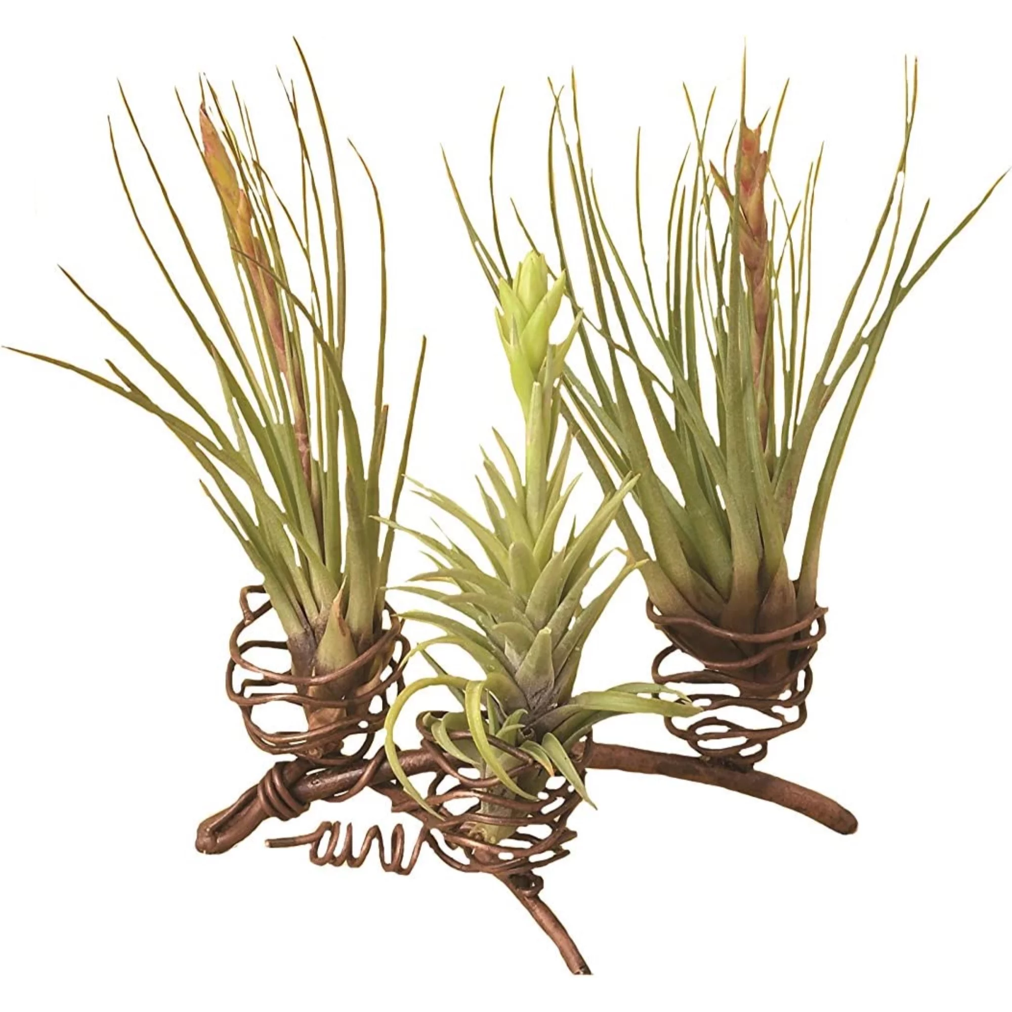 Ancient Graffiti Standing Triple Air Planter, Metal, 3