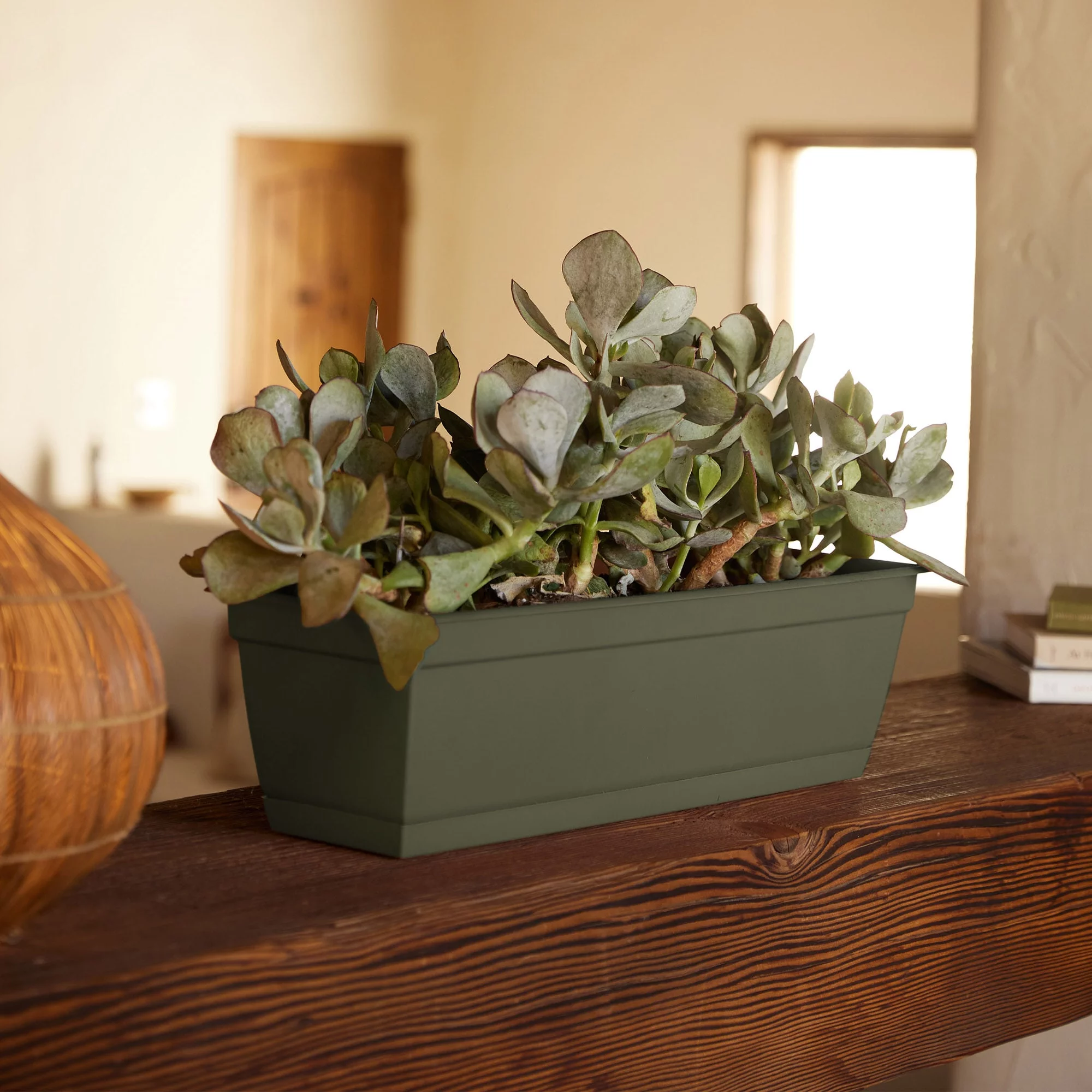 Bloem 30-in Wide Dura Cotta Resin Window Box Planter - Living Green