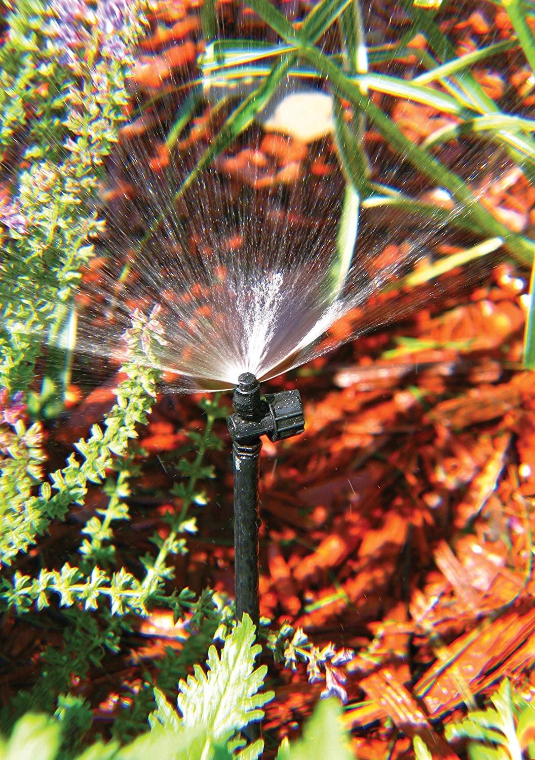 Rain Bird Half Circle Micro Spray,Black,PK2 MSH2PKS