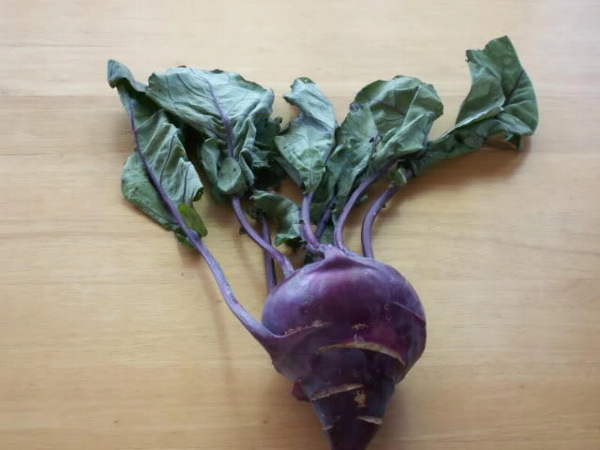2000 Seeds PURPLE VIENNA KOHLRABI Brassica Oleracea Gongylodes Vegetable Seeds