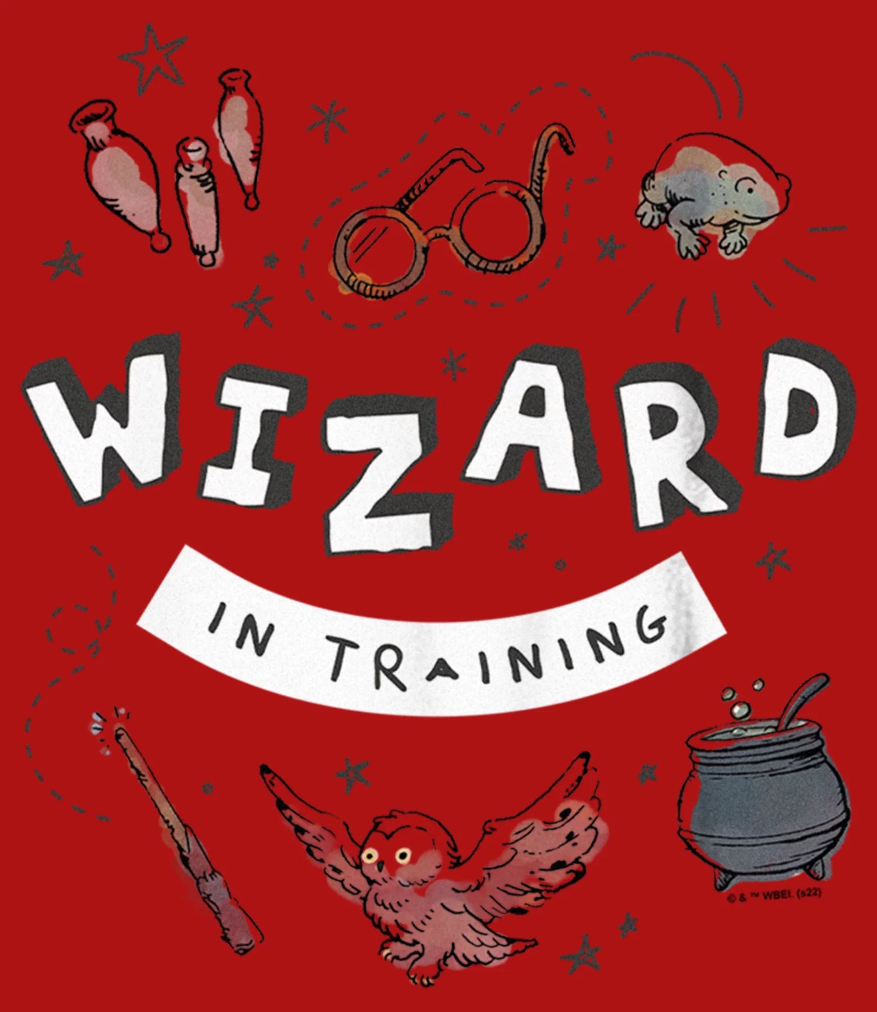 Boy's Harry Potter Wizard Training  Graphic Tee Red Large