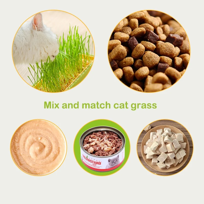 Pet Cat Grass Sprout Dish Growing Pot Hydroponic Plant Cat Snacks Germination Digestion Starter Dish Greenhouse Grow Box