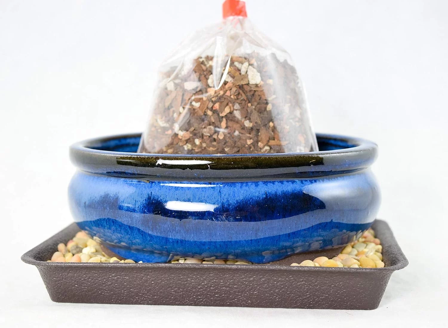 Oval Dark Blue Glazed Bonsai/Succulent + Soil + Tray + Rock + Mesh Kit
