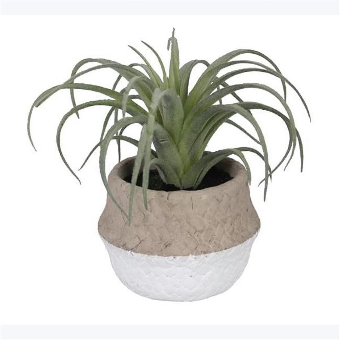 Youngs 12032 5.25 in. Artificial Air Grass Plant in Cement Pot