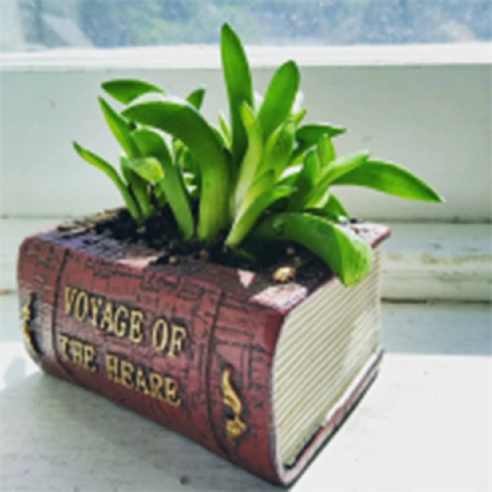 SIfdSeng Book Treasure Chest Planter Handmade Resin Succulent Flower Pot Home Garden Father Day Gifts from Son Independence Day Decorations Party Fathers Day Decorations In Spanish