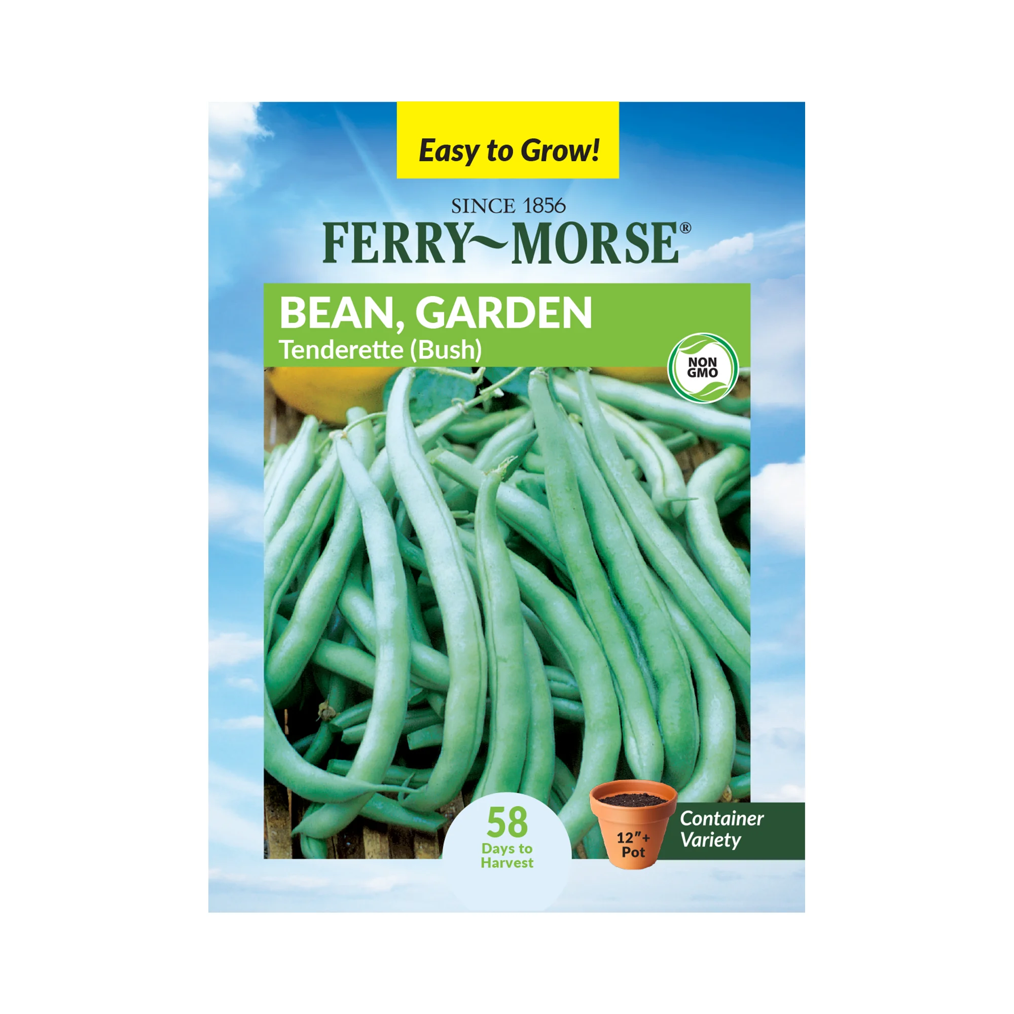 Ferry-Morse 10G Bean, Garden Tendergreen Improved (Bush) Heirloom Vegetable Plant Seeds Full Sun