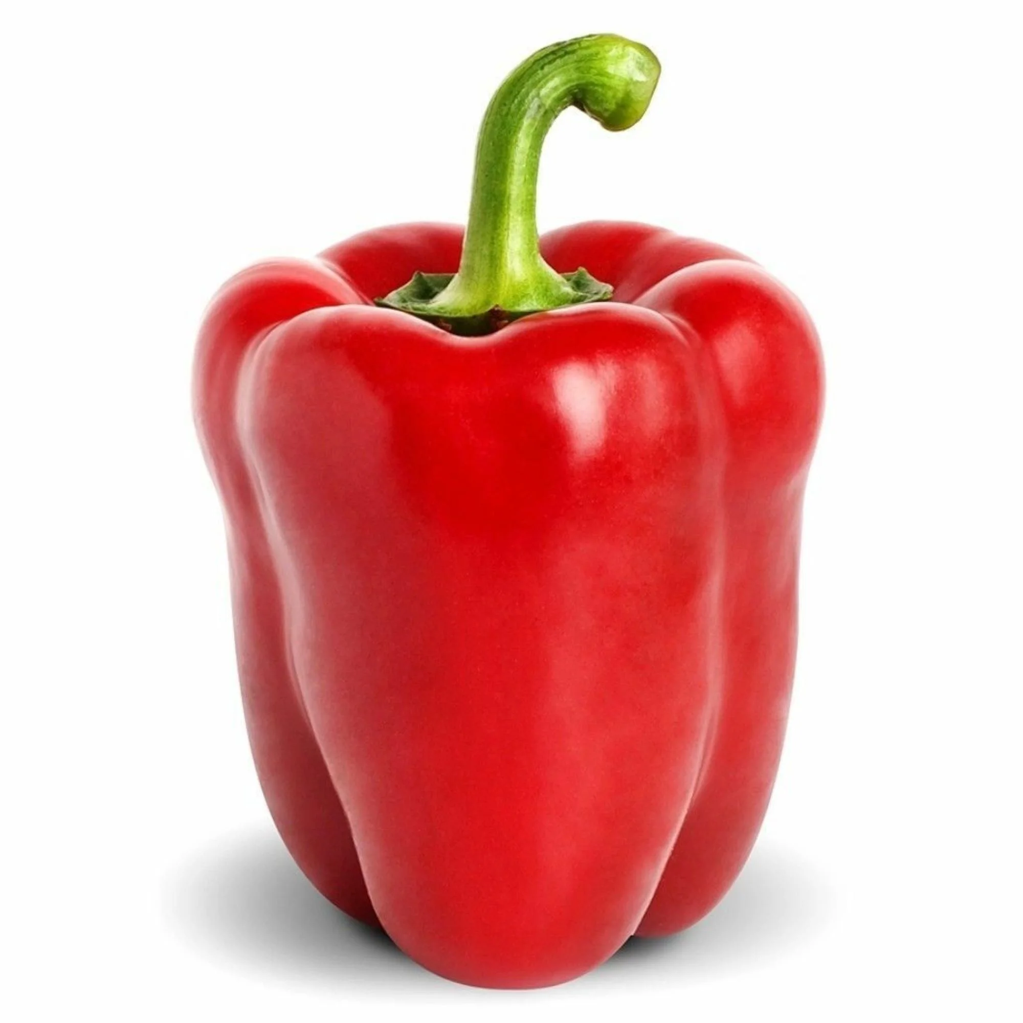 Big Red Sweet Bell Pepper Seeds/Annual/Full Sun/65 Seeds 1/2 Gram/Zellajake Farm and Garden - B352