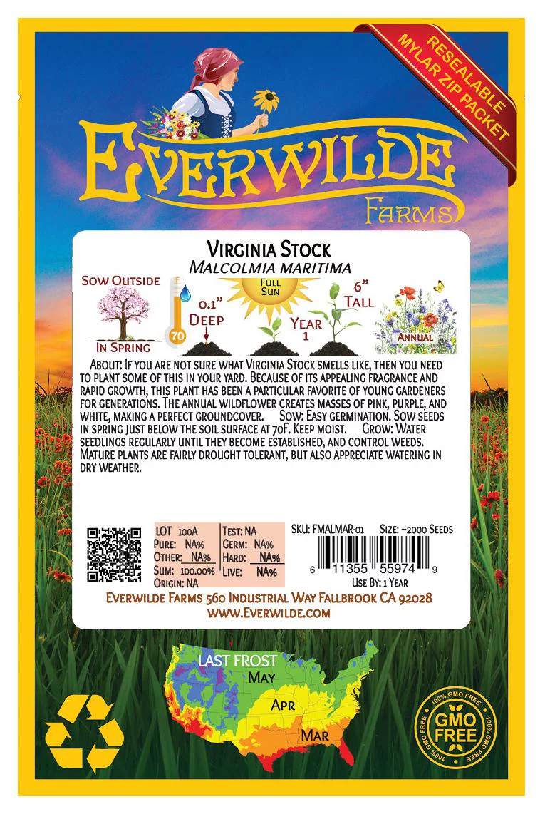 Everwilde Farms - 2000 Virginia Stock Garden Flower Seeds - Gold Vault Jumbo Bulk Seed Packet