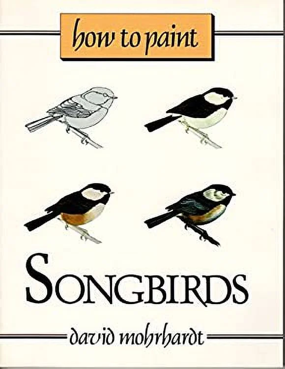 Pre-Owned How to Paint Songbirds : A Guide to Materials, Tools, and Technique 9780811722742