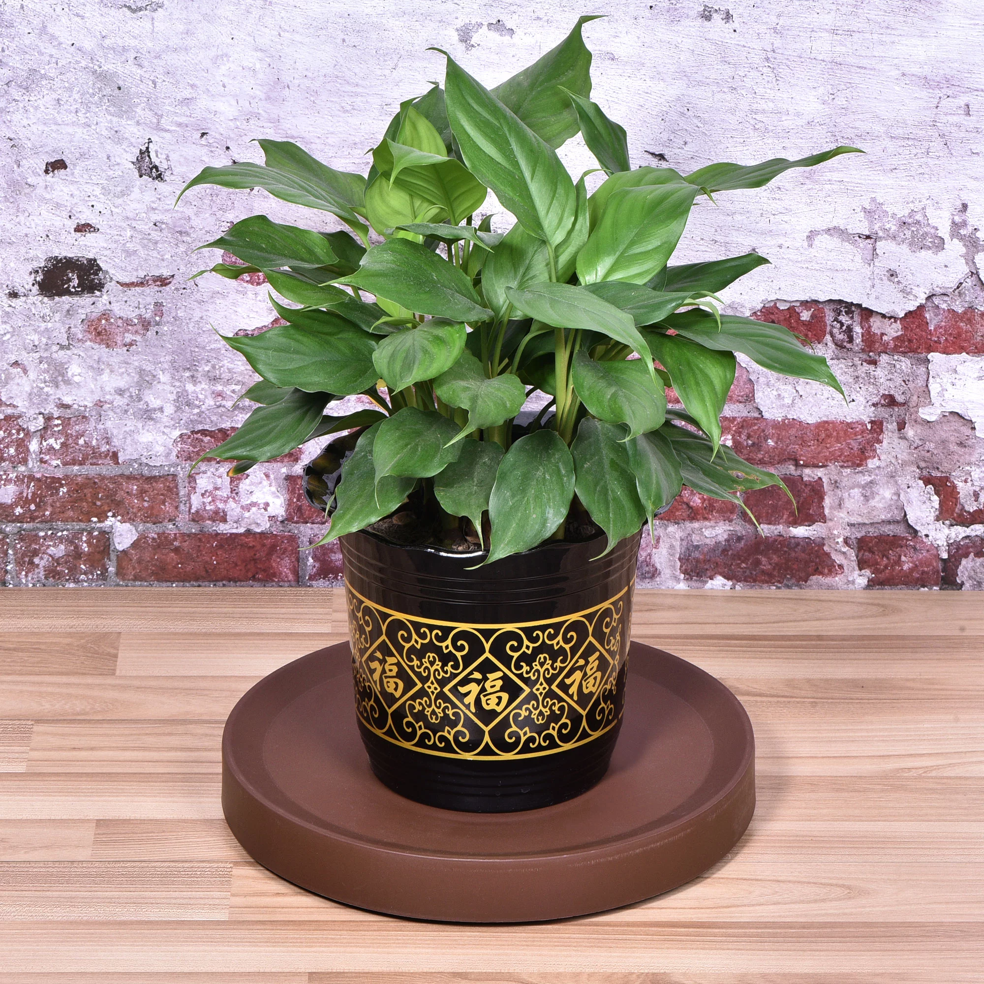 Unique Bargains Plant Pallet with Invisible Wheels Round Plastic Flowerpot Dolly