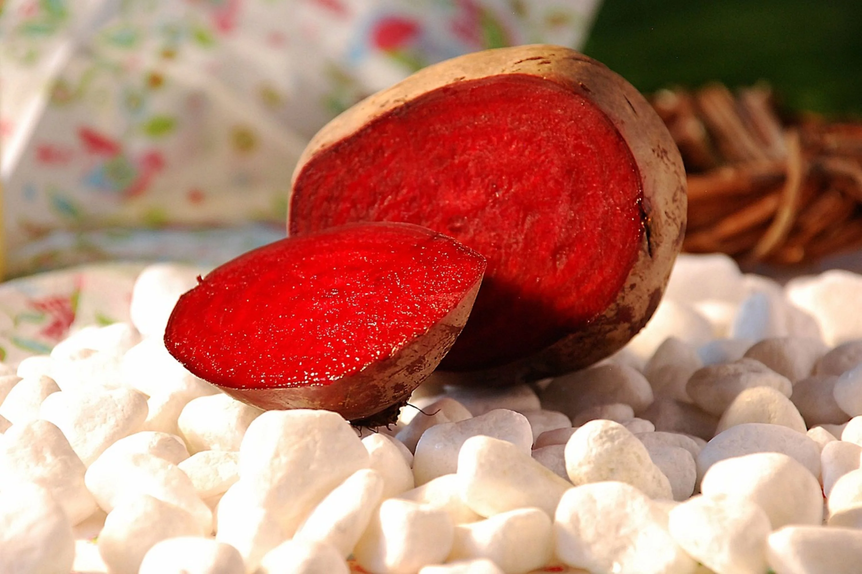 Mammoth Red Mangel Beet Seeds/ Biennial/ Full Sun/570 Seeds 1/4 oz/ Zellajake Farm and Garden- B311