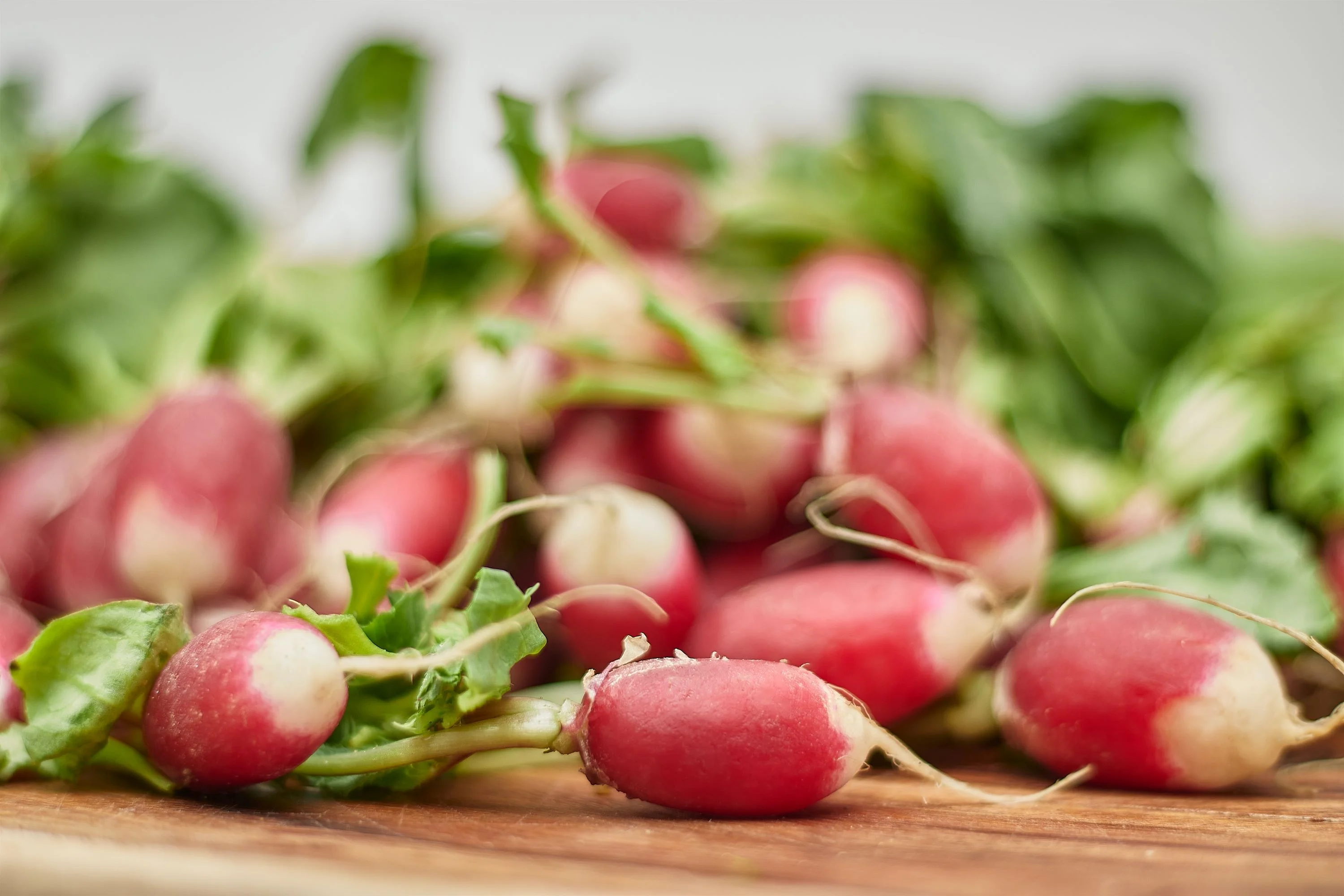 French Breakfast Radish Seeds/ Annual/ Full Sun/200 Seeds 2 Grams/ Zellajake Farm and Garden - B78