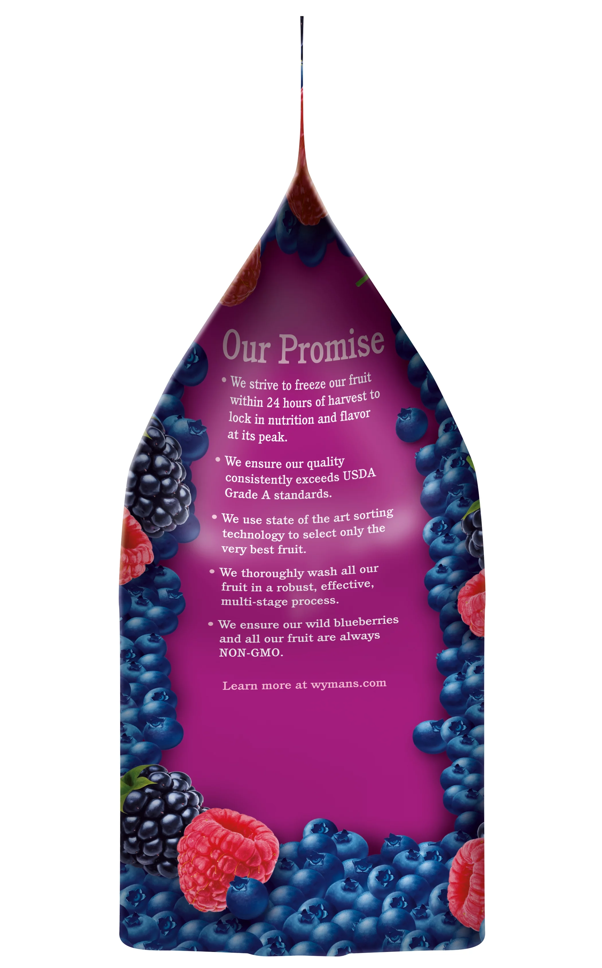 Wyman's Triple Berry Blend with Blueberries, Blackberries and Raspberries, 1 - 48 oz Bag (Frozen)