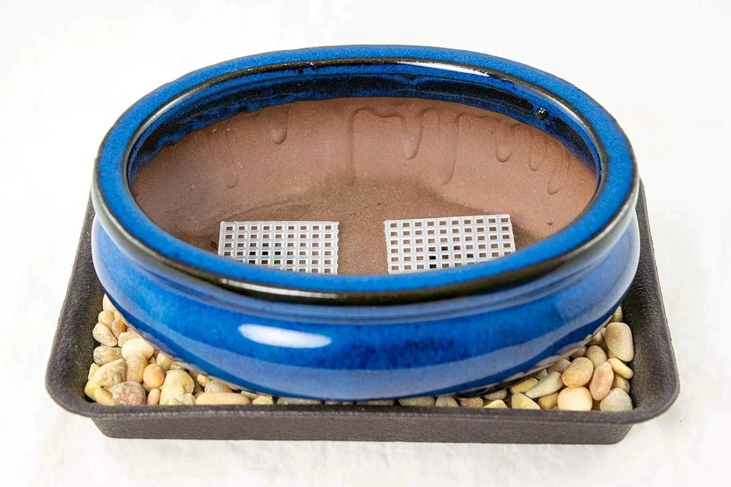 Oval Dark Blue Mame Shohin Bonsai/Succulent + Tray + Rock + Mesh Combo