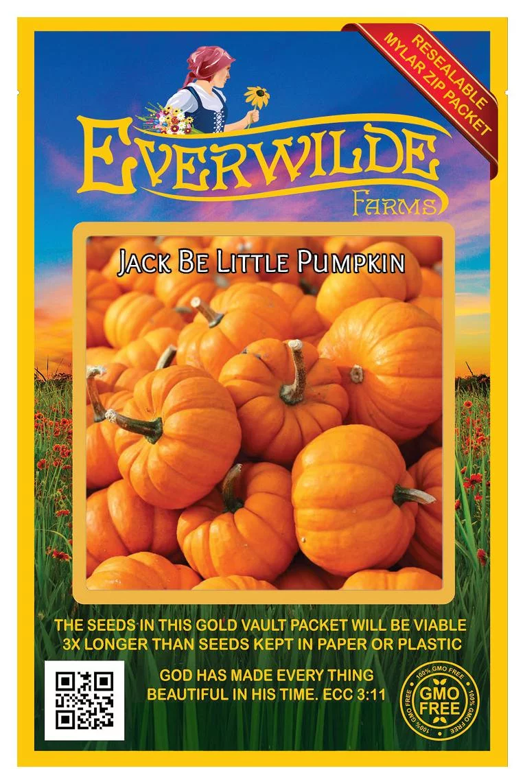 Everwilde Farms - 20 Jack Be Little Pumpkin Seeds - Gold Vault Jumbo Bulk Seed Packet