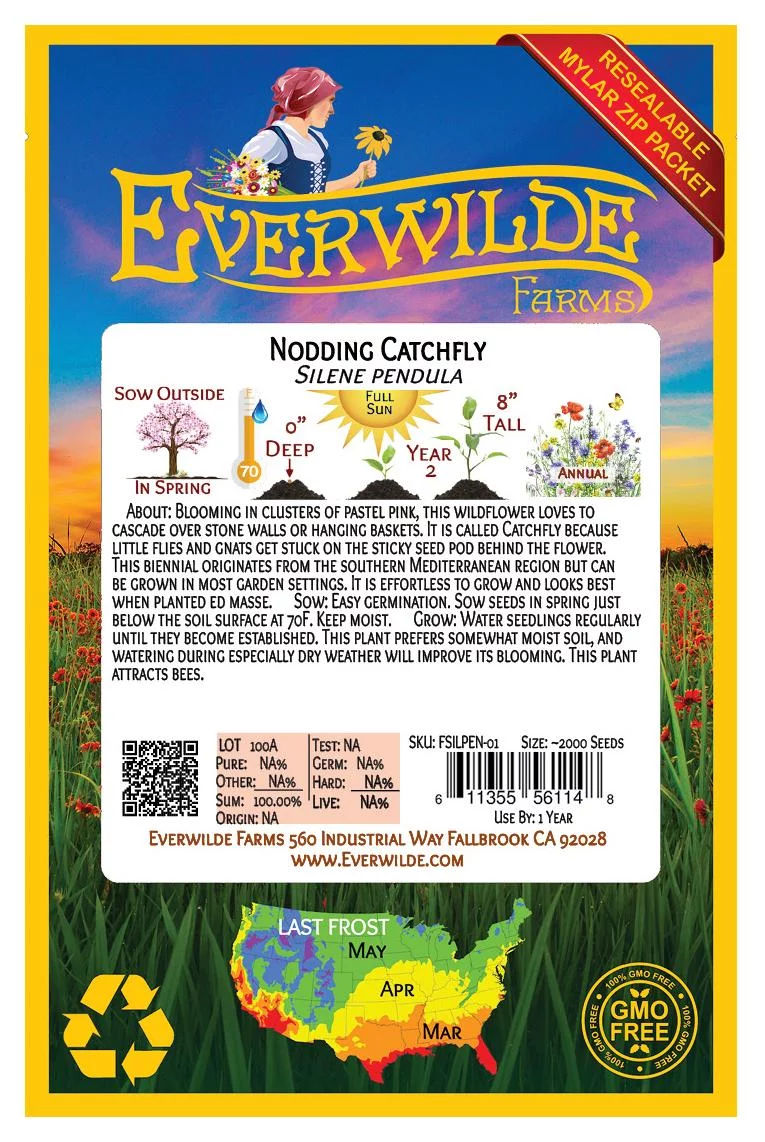 Everwilde Farms - 2000 Nodding Catchfly Garden Flower Seeds - Gold Vault Jumbo Bulk Seed Packet