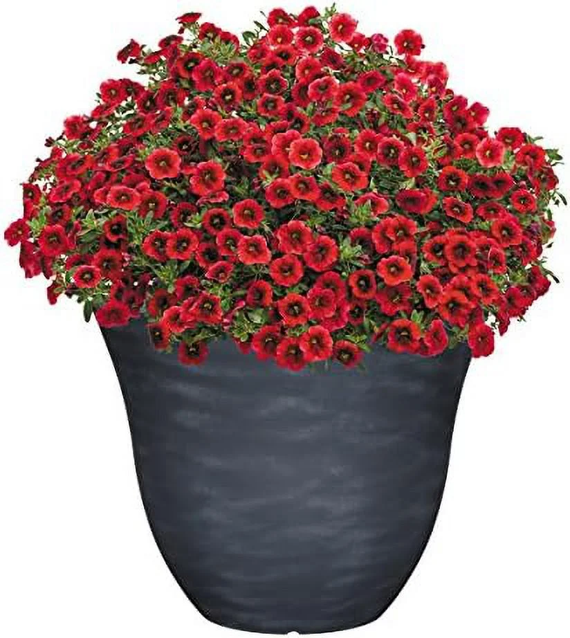 honeysuckle resin flower planter, zinc grey, 15