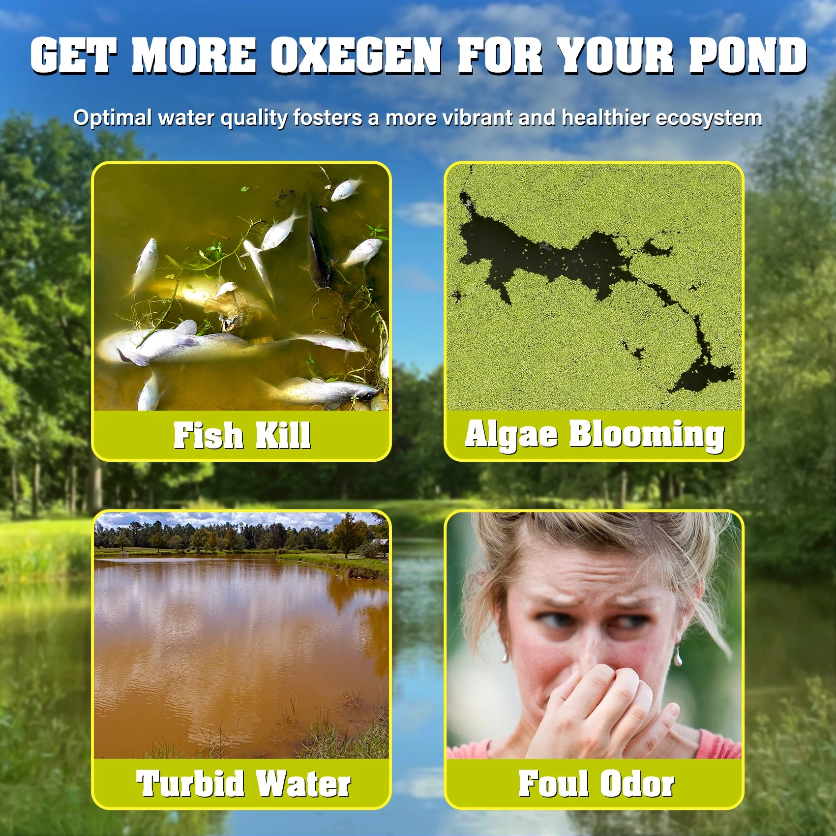 TCFUNDY 750W Pond Aerator, 1HP Lake Aeration System with 2 Diffusers, Efficient Air Pump Compressor for Water Oxygen Circulation, 4.6CFM for up to 3 Acre, 33ft Depth