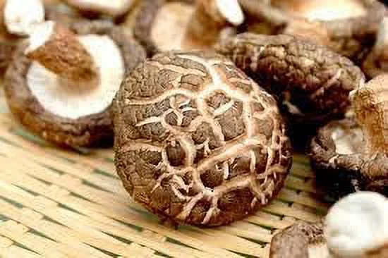 Nourcery Dried Shiitake Mushroom, 50Gm (Sawtooth Oak Mushroom)