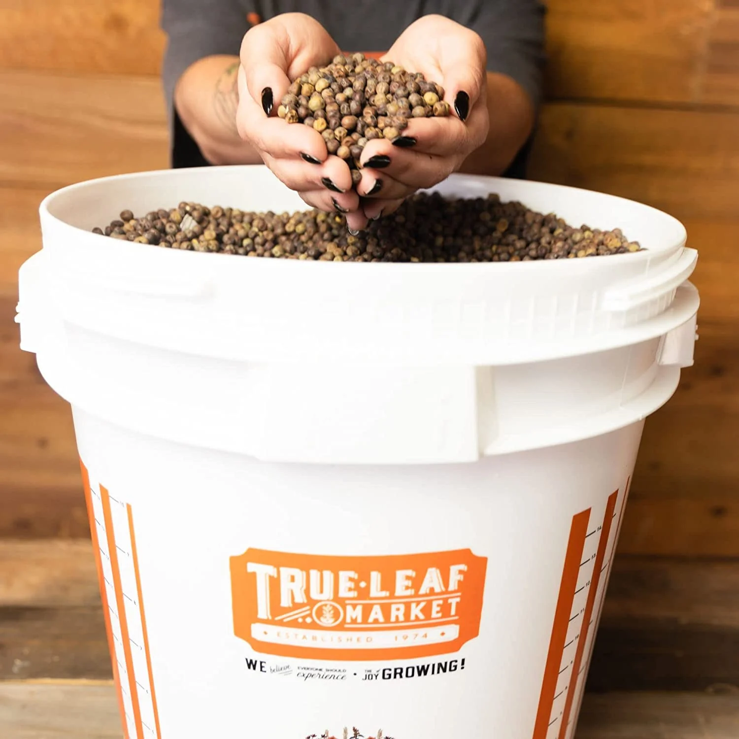 5 Gallon Bucket with Easy On/Off Ratchting Lid - 3 Buckets - HDPE, Food Grade, BPA Free - Gardening & Composting Info - All Purpose Pail