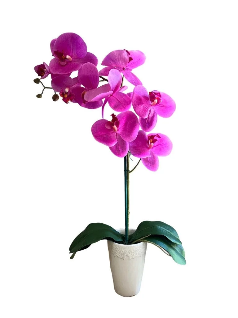 Pixies Gardens Stunning Artificial Orchids Without Pot Pink 1 Stem