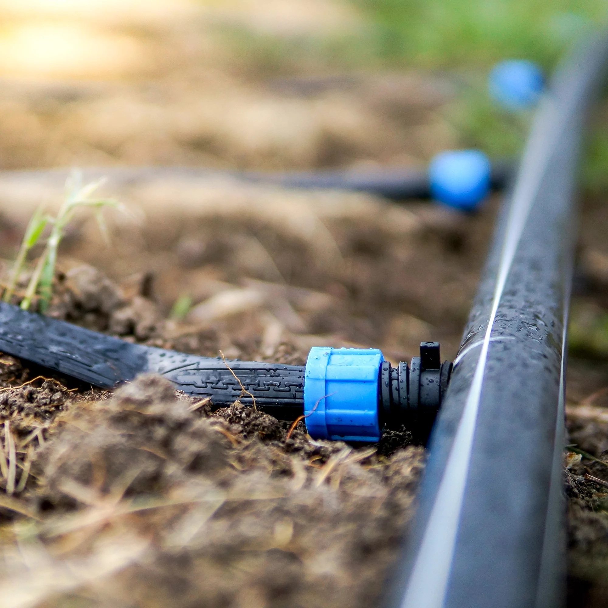 Uxcell Drip Irrigation Coupling G1/2 Male 16mm Barbed Locking Fitting Blue 10 Pack