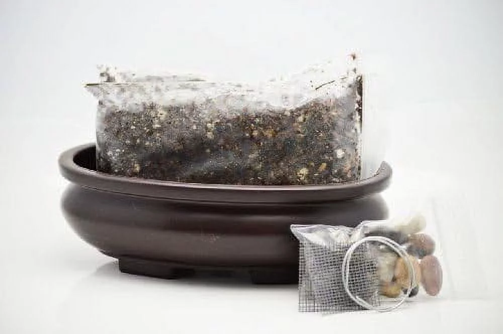 bonsai ting kit, 6.25