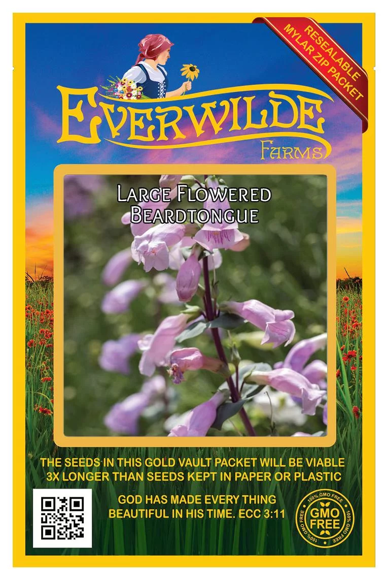 Everwilde Farms - 300 Large Flowered Beardtongue Native Wildflower Seeds - Gold Vault Jumbo Bulk Seed Packet
