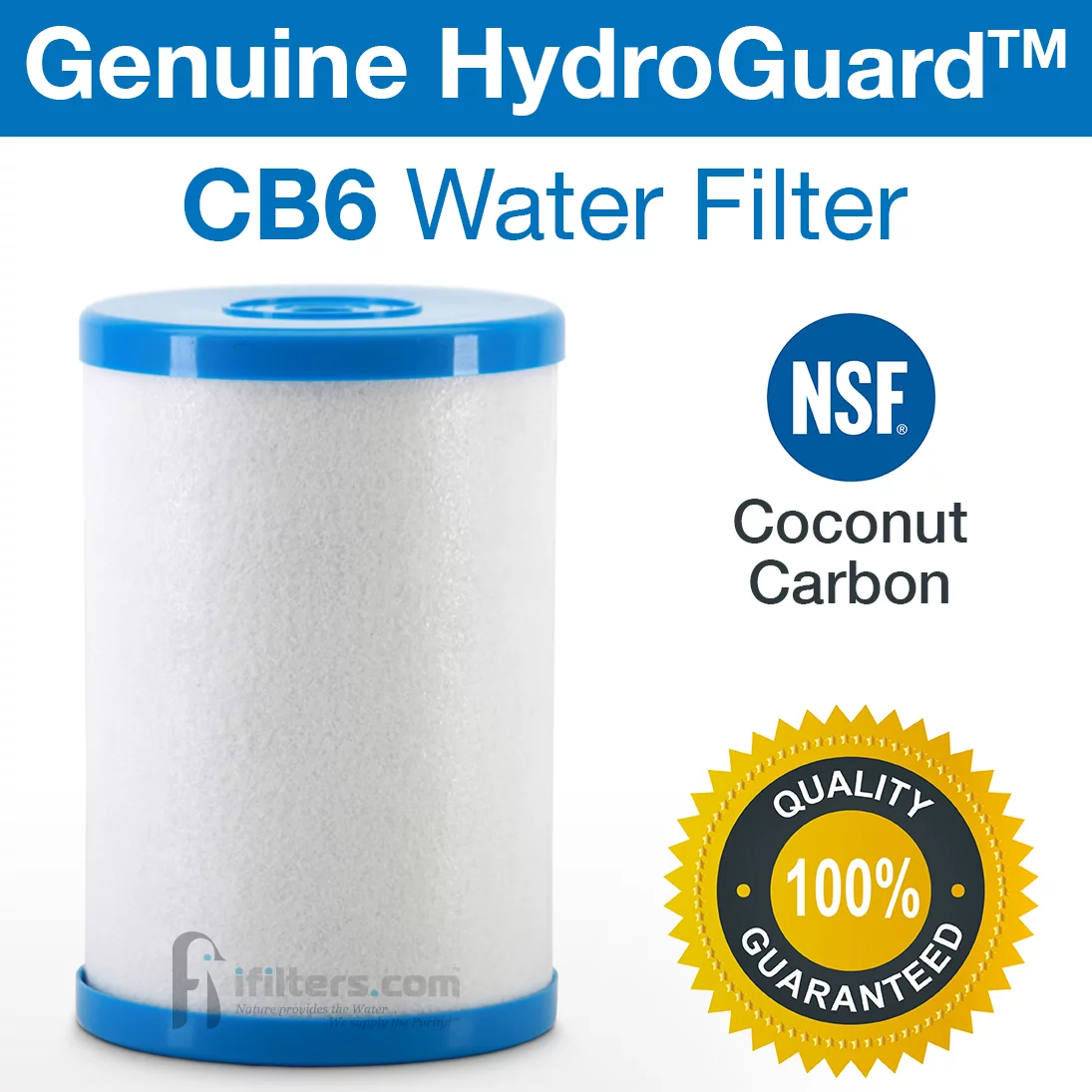 2 Pack Genuine Hydro Guard CB6 Carbon Block Water Filter For MP Systems