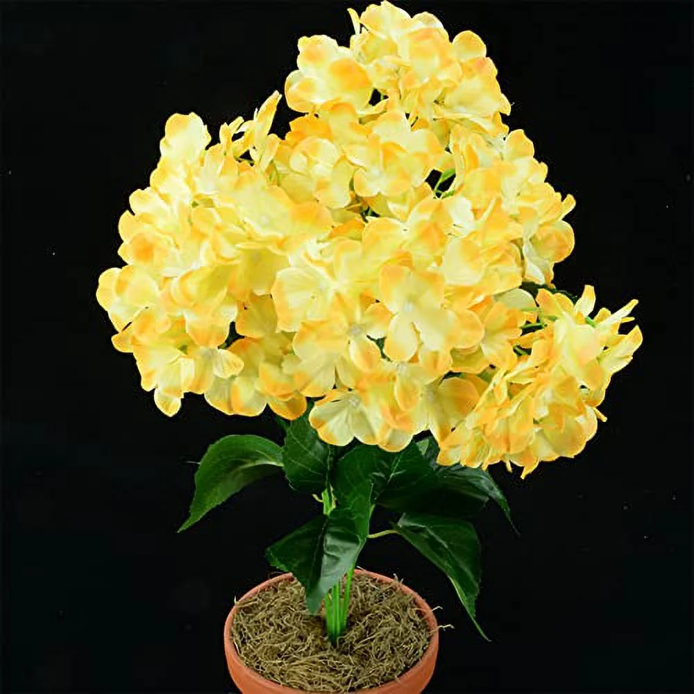 QAUZUY GARDEN 5 Yellow Hydrangea Seeds Hortensia Striking Showy Hardy Fast-Growing Perennial Flowering Garden Plant Accent - Attract Pollinators & Great Gardening Gift