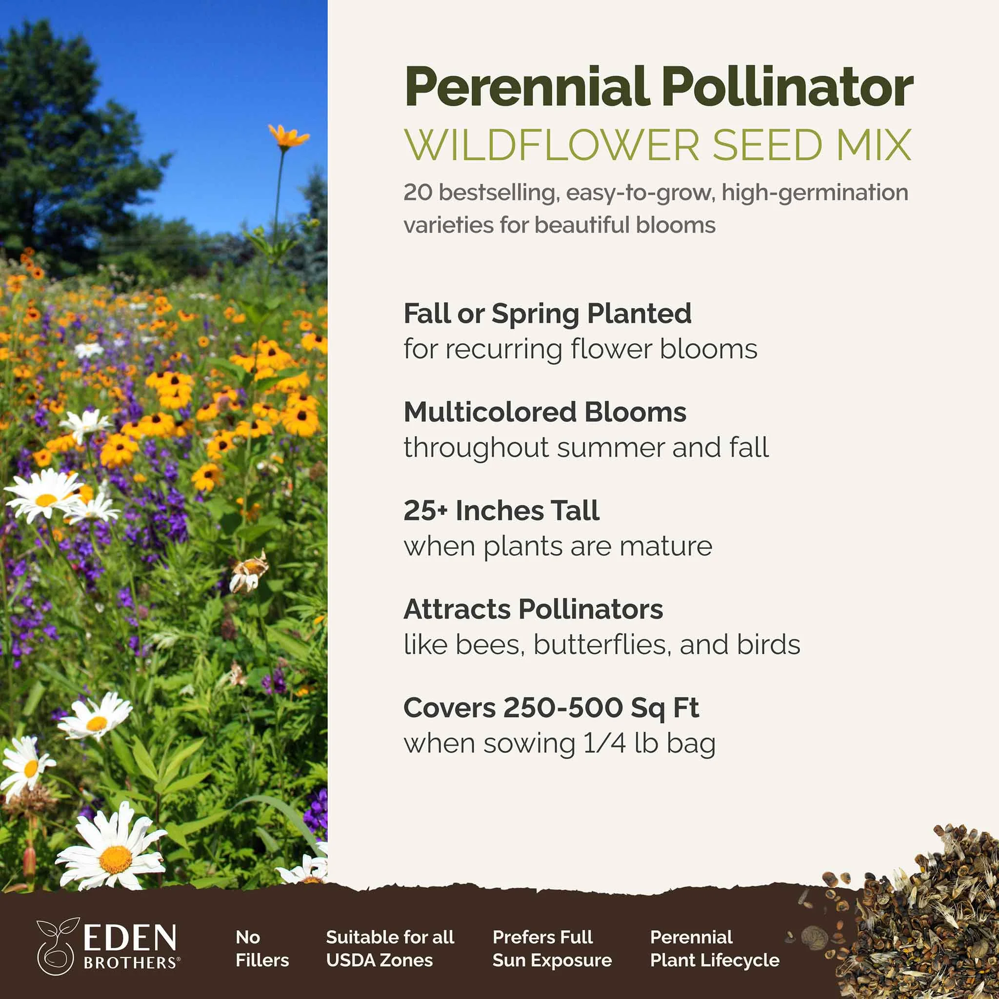 Eden Brothers Perennial Pollinator Wildflower Mixed Seeds for Planting, 1 lb, 480,000+ Seeds with Blue Flax, Coneflower | Attracts Pollinators, Plant in Spring or Fall, Zones