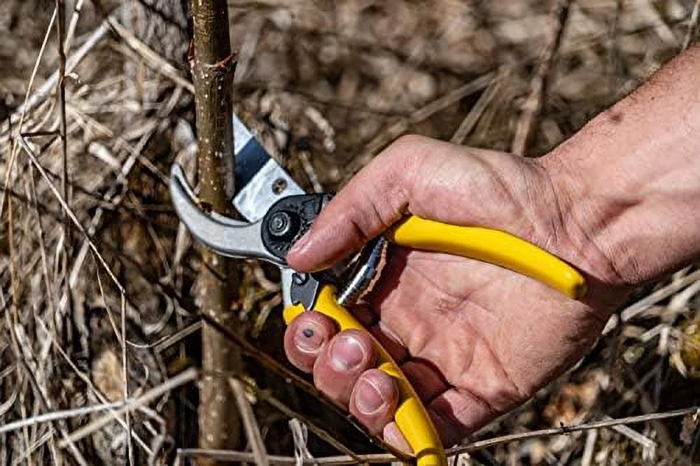 tree gear wtg-017 tough hand pruner