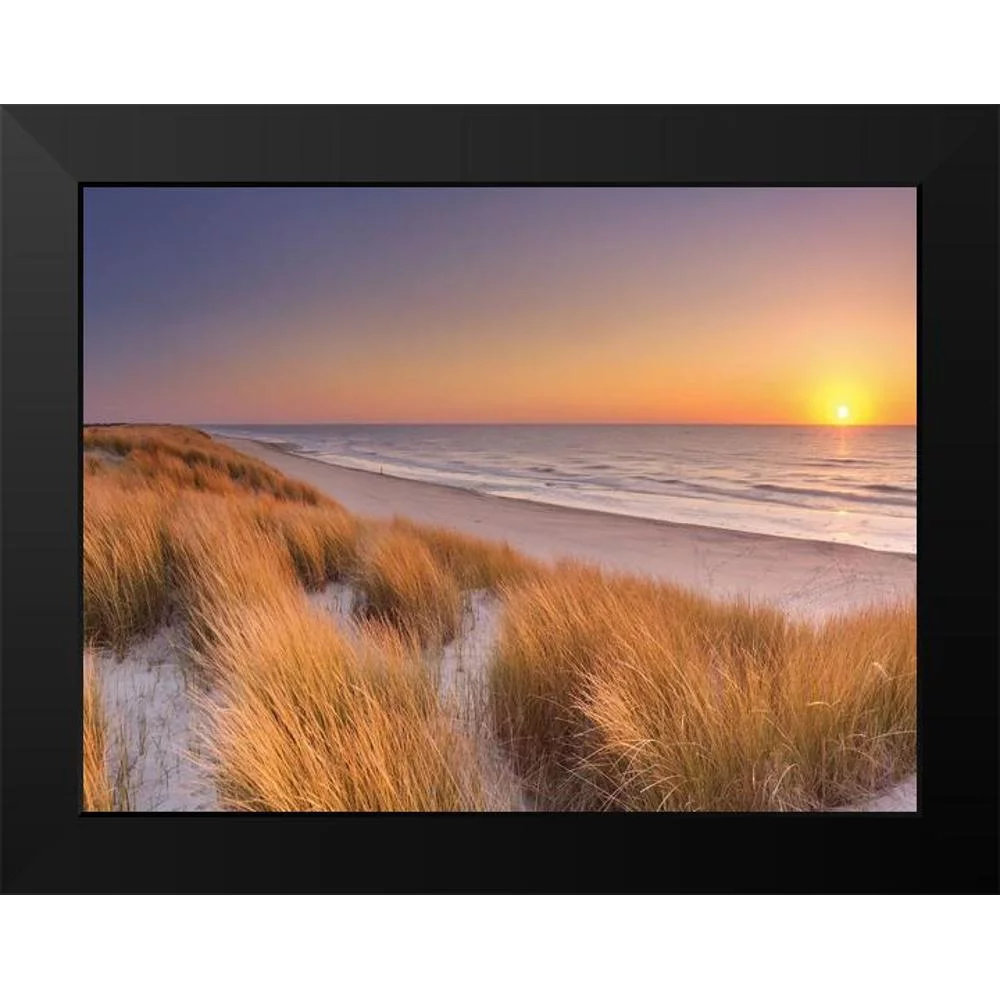 Winter 14x12 Black Modern Framed Museum Art Print Titled - Flowing Copper Beach Grass